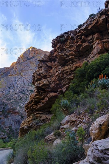 Quartzite rocks Swartberg Road