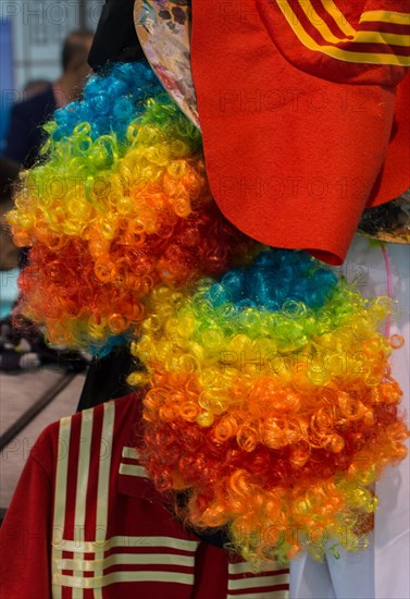 Closeip of rainbow colored clown wig in the view