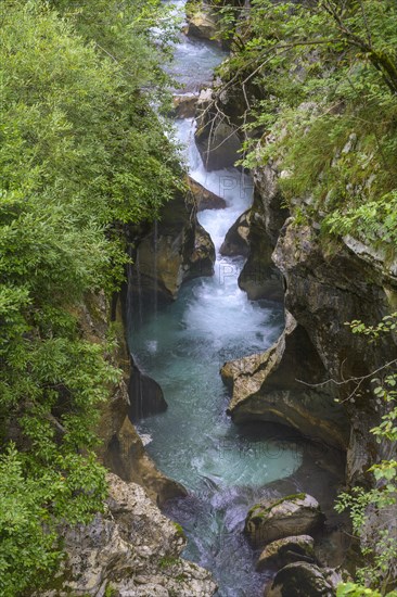 Narrows of the river at the Velika korita Soce