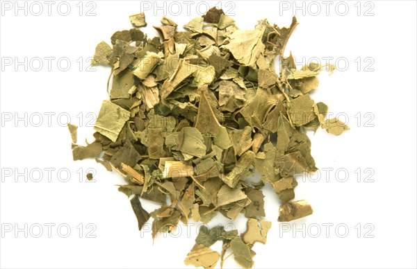 Medicinal herbs dried holly herb