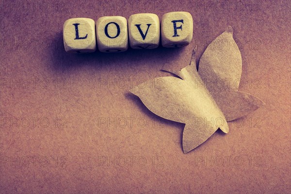Butterfly cut of paper and love wording in view