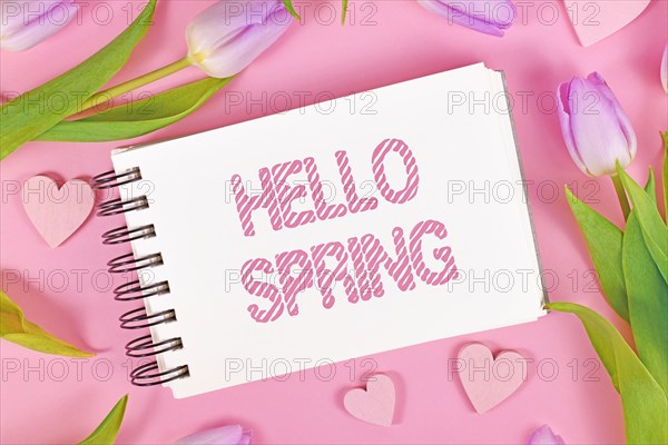 Violet tulip flowers and heart ornaments surrounding text 'Hello Spring'