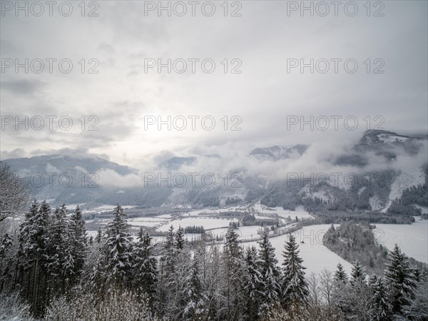 Winter landscape