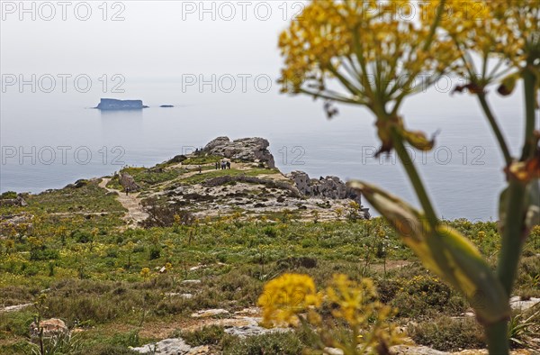 Rock plateau out to sea