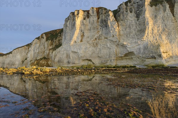 Alabaster coast with chalk cliffs near Etretat at low tide