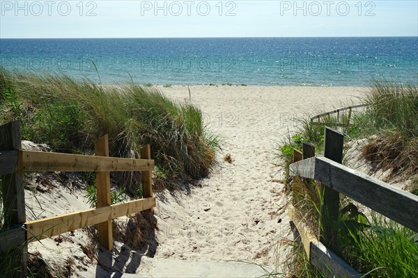 Narrow footpath leads to deserted beach