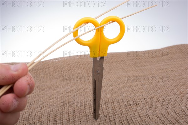 Hand holding two wooden sticks through the handles of scissors