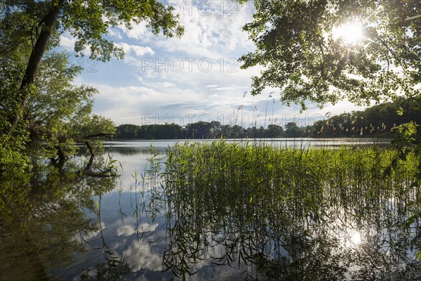 Schaalsee near Seedorf