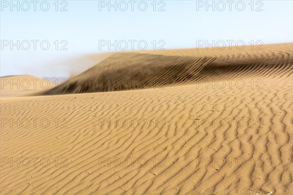 Wanderduenen in der Wueste Erg Chebbi in Suedmarokko. Merzouga