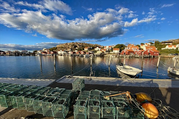 Lobster cages