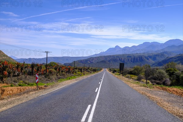 Huisrivier Pass Road