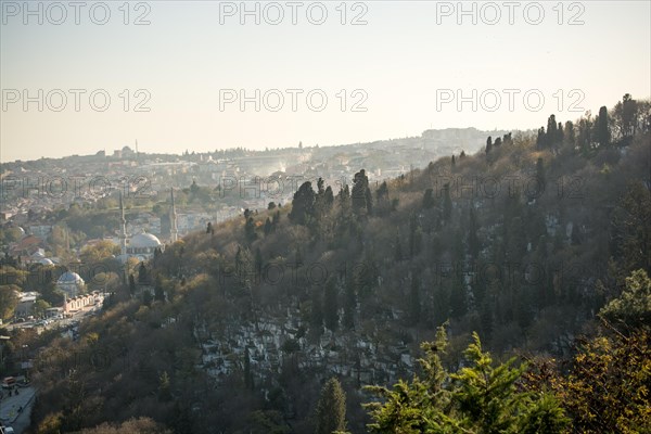 Forest view from Golden Horn in the view