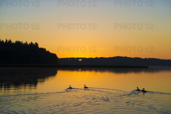 Schaalsee near Seedorf