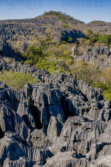 Tsingy plateau in the Ankarana Special Reserve