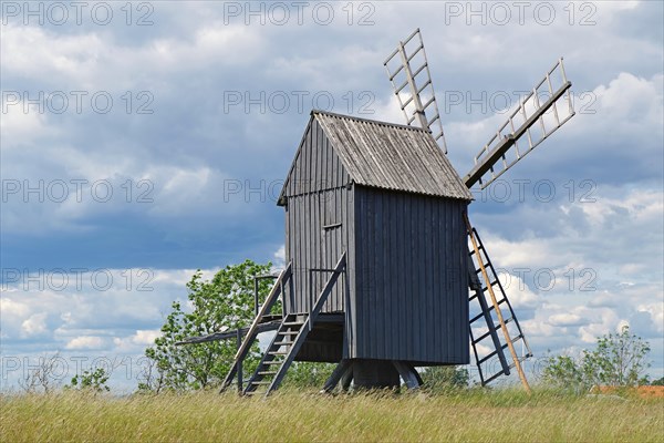 A windmill in a meadow