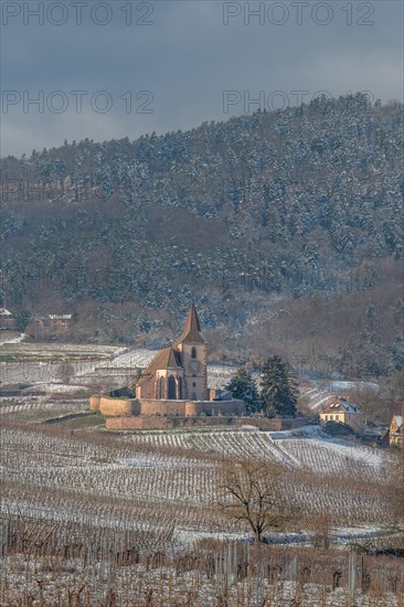 Saint-Jacques-le-Majeur mixed church under the snow near the wine route. Hunawihr
