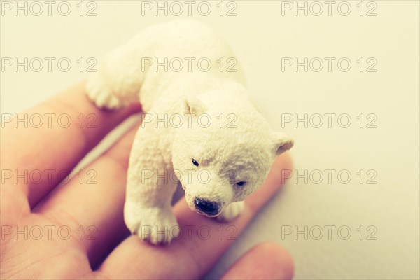 Polar bear model placed on a white background in view