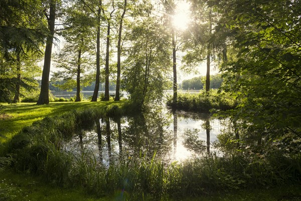 Schaalsee near Seedorf