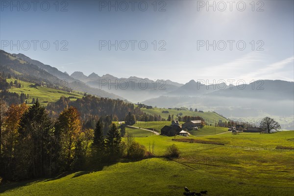 Pastures in Toggenburg