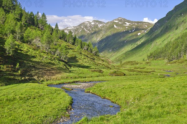 Hike along the Mur