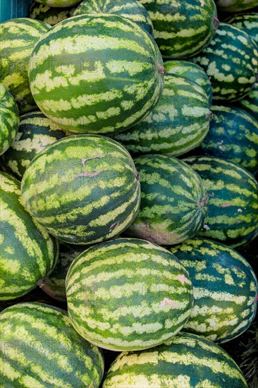Dozens of watermelons in a Turkish street bazaar in display