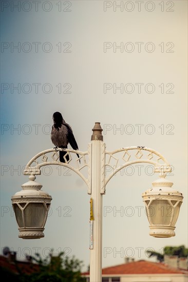 Old electric street lamps made of metal in retro style