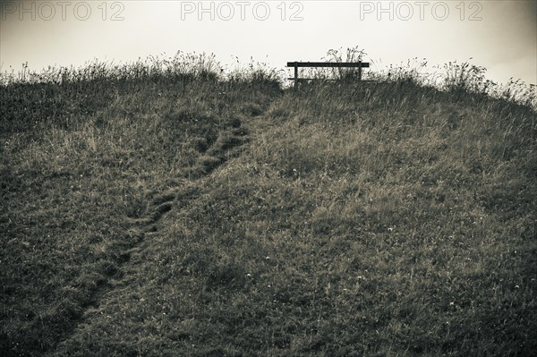 Mountain meadow with bench and dramatic clouds in the background