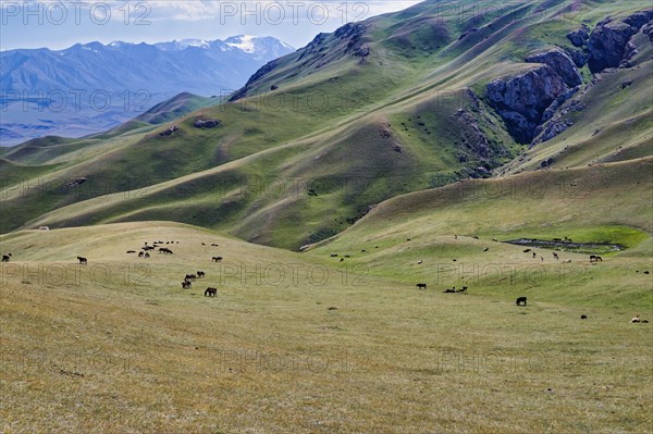 Landscape along the At-Bashy Range