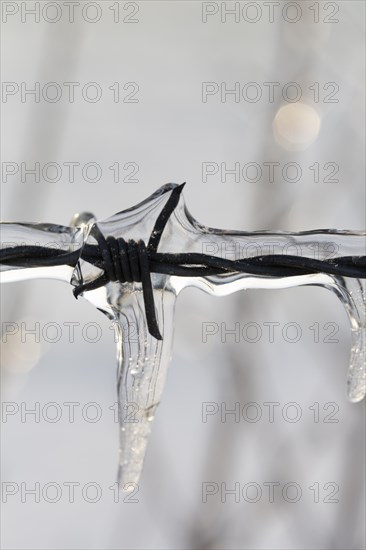 Icy barbed wire