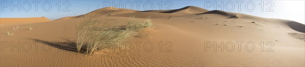 Beeindruckender Panoramablick auf die Wueste Sahara im Sueden Marokkos. Merzouga