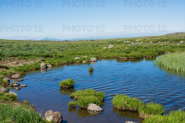 Highland lake in green natural background in Artvin province of Turkey