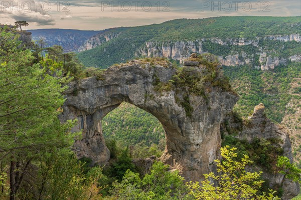 Stone arch above the Gorges du Tarn in the Cevennes National Park. Massif Central France