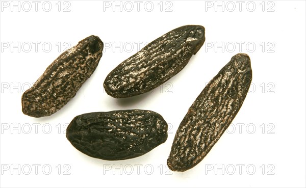 Natural remedy Tonka beans from the cumaru