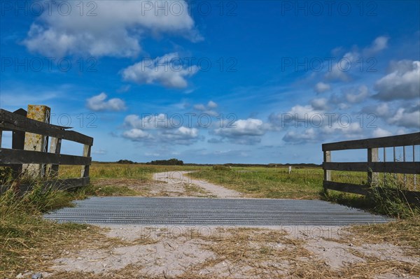 Cattle grid in ground