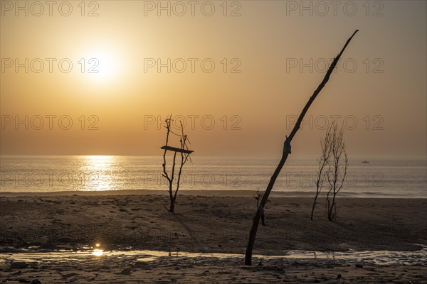 Abstract sculpture made of driftwood stands in the evening light on the beach