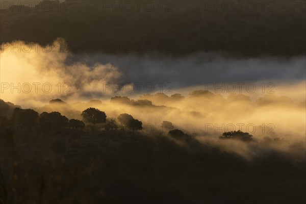 Monfraguee National Park