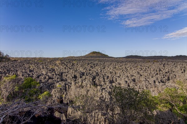 Tsingy plateau in the Ankarana Special Reserve