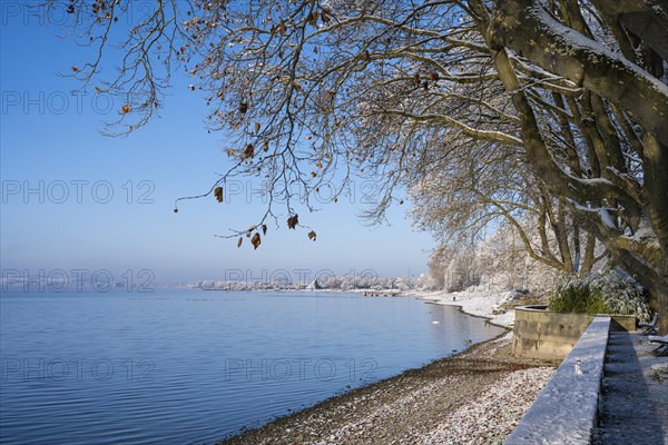 View of Lake Constance from the snow-covered Mettnaupark