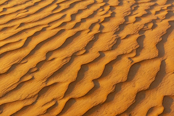 Natural patterns and ripples in the sand