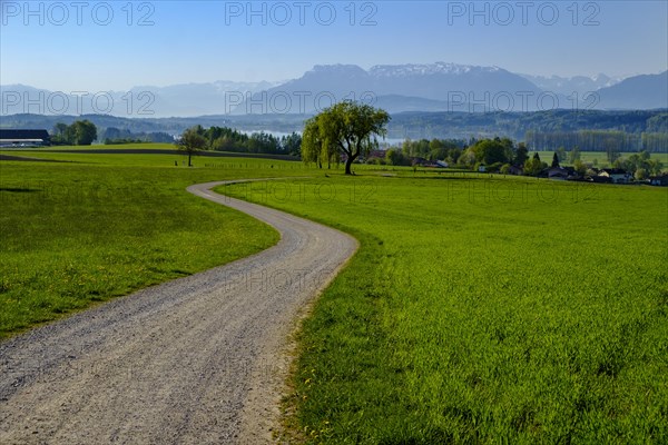 Path with a view from Bicheln