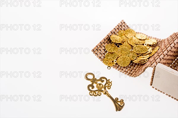 Key and fake gold coins in straw box on green grass