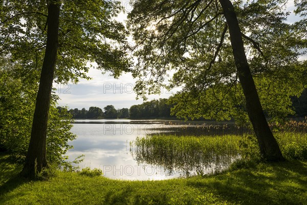 Schaalsee near Seedorf