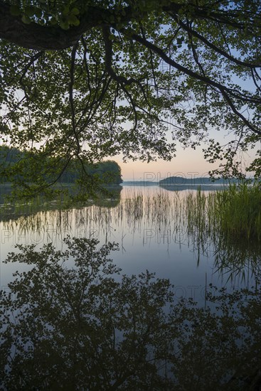 Schaalsee near Seedorf