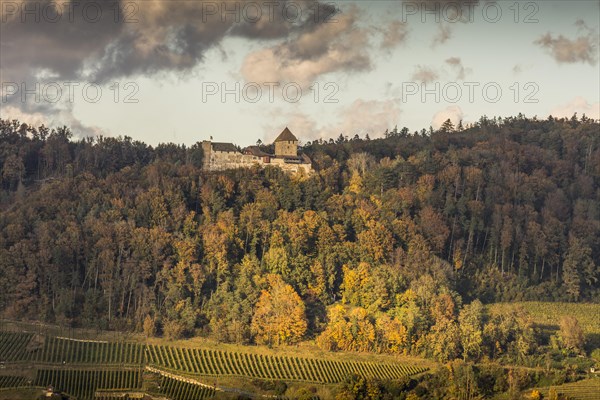 View of Hohenklingen Castle