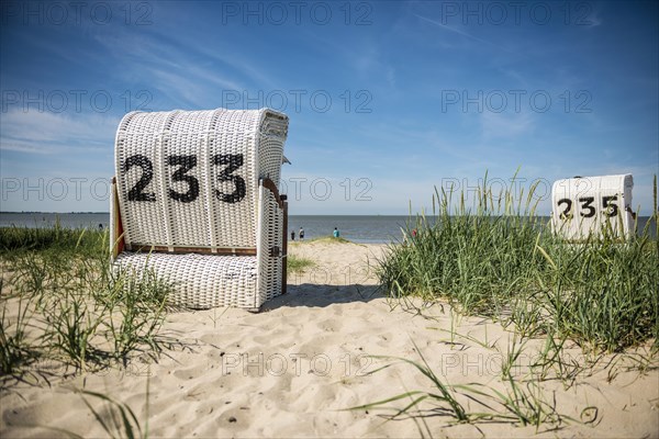 Beach chairs on the sandy beach