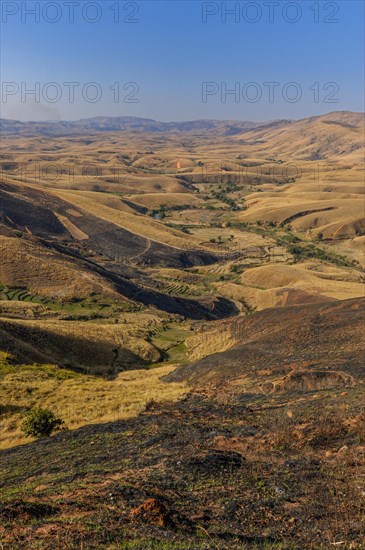 Dry savannah along the road between Mahajanga and Antananarivo
