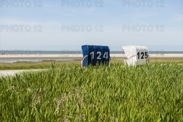 Beach chairs on the sandy beach