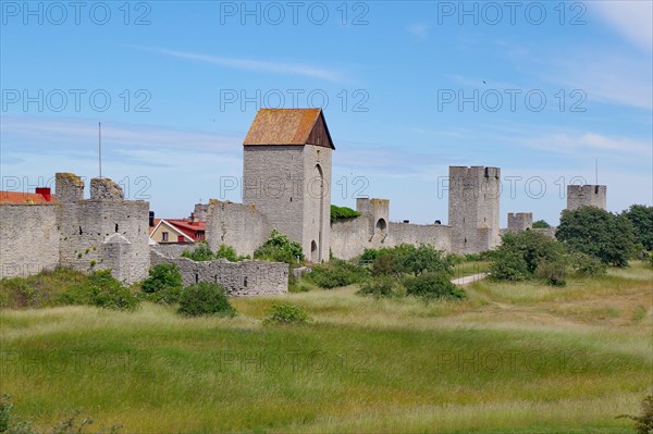 Meadow and medieval city wall and towers