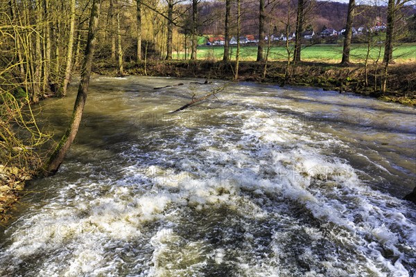 River landscape