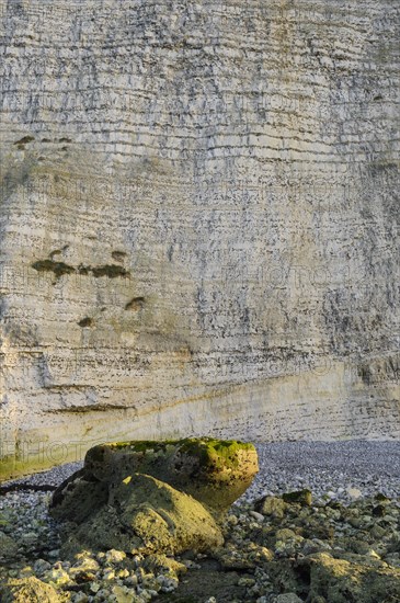 Chalk flint rocks on the beach